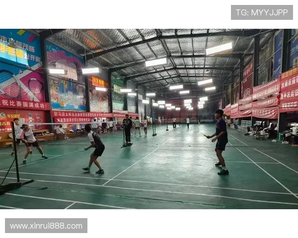 羽毛球盛宴：深入解析成都羽毛球队的训练与竞技状态